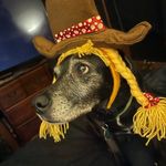 Christian Roach - @christian.roach.73 - Instagram