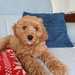 Christian - @rubychristiananthony - Instagram