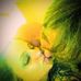 Christian Storey - Facebook