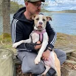 Christian Strandh - @christianstrandh - Instagram
