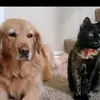 Christina Strohmeyer - @christina.strohmey - TikTok