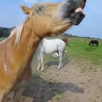 Strohmeyer Christiane - Facebook
