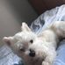 Christian Sweeney New - Facebook
