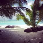 Christian Wacker - @christian_wacker - Instagram