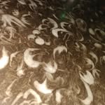 Christian Wayne - @christianwayne420 - Instagram
