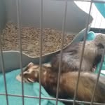Christian Weeks - @christian.weeks.756 - Instagram