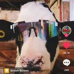 Christian Wise - @christianwise105 - Instagram