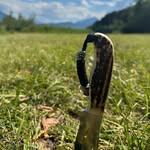 Christian Worm - @wormchristian - Instagram
