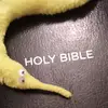 Gabby_the_Bible_worm - @christianfuzzyworm_gabby - TikTok