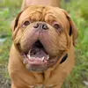 Christine Barton - @christine.barton7 - TikTok