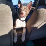 Christie Cable - @christiecable - Instagram