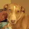 Christine Capps - @christine.capps3 - TikTok