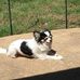 Christie Cooper - Facebook