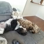 Christine Everson - @chookg - Instagram