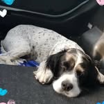 christine everson - @everson7681 - Instagram