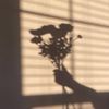 Christine Hung - @christine.hung1 - TikTok