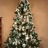Christy Schaefer - @christy.schaefer - TikTok