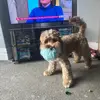 Christine Singleton - @christine.singlet10 - TikTok
