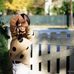 Christie Tran - Facebook
