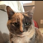 Christie Wall - @christie_wall_ - Instagram