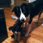 Christie Wall-Maddux - @christie.maddux.1 - Instagram