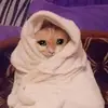 christinleee - @christinleee - TikTok