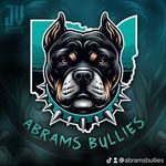 Christina & Toby Abrams - @abramsbullies - Instagram