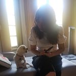 Christina Ahn - @chewyahn - Instagram