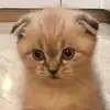 christinabartel7 - @christinabartel7 - TikTok