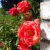 Christina Bohn - Facebook