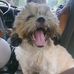 Christina Faith Calles  - Facebook