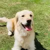 Christine Chase - @christine.chase3 - TikTok