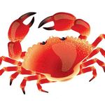 Christina Collier - @craftingcrab - Instagram