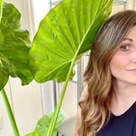 Christina | cool plant mom 🪴 - @thatcoolplantmom - Instagram