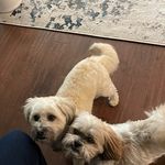 Christina Dunham - @gtcd01 - Instagram