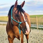 Christina Eberlein - @christinace_eberlein - Instagram