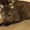 Christine Ebert - @christine.ebert - TikTok