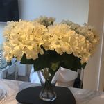 Christina Fenner - @christina_fenner666 - Instagram