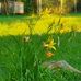 Christine Fenner - Facebook
