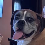 Christine Fenner Hensley - @chenz1171 - Instagram