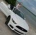Christine Gall - Facebook
