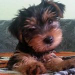 christina gartner - @gartner9931 - Instagram
