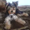 Gartner Christina - @gartnerchristina - TikTok