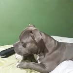 Christina Griffith - @haloking642 - Instagram