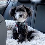 Christine Haggerty - @christinehaggerty - Instagram