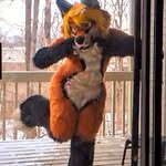 Josephine Christina Hauser - @cheesecakefox - Instagram