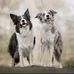 Christina Holstein - Facebook