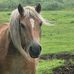 Christine Holstein - Facebook
