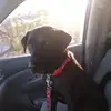 christinajacobs - @christinajacobs368 - TikTok