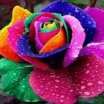 Christina Jamison - Facebook